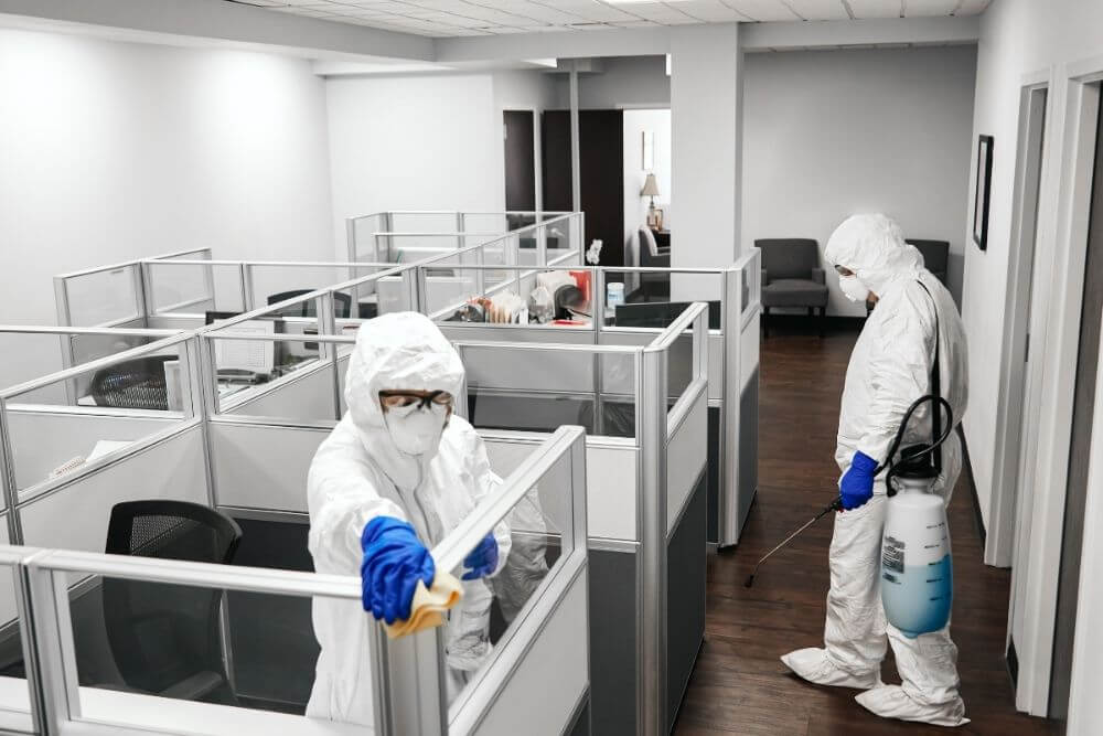 Cleaning and disinfection of business premises – Part of our expertise 0 (0)