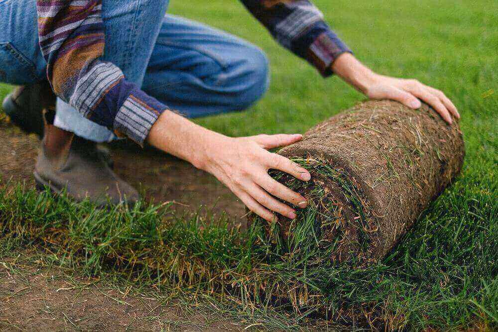 maintenance of greenery invekta 3