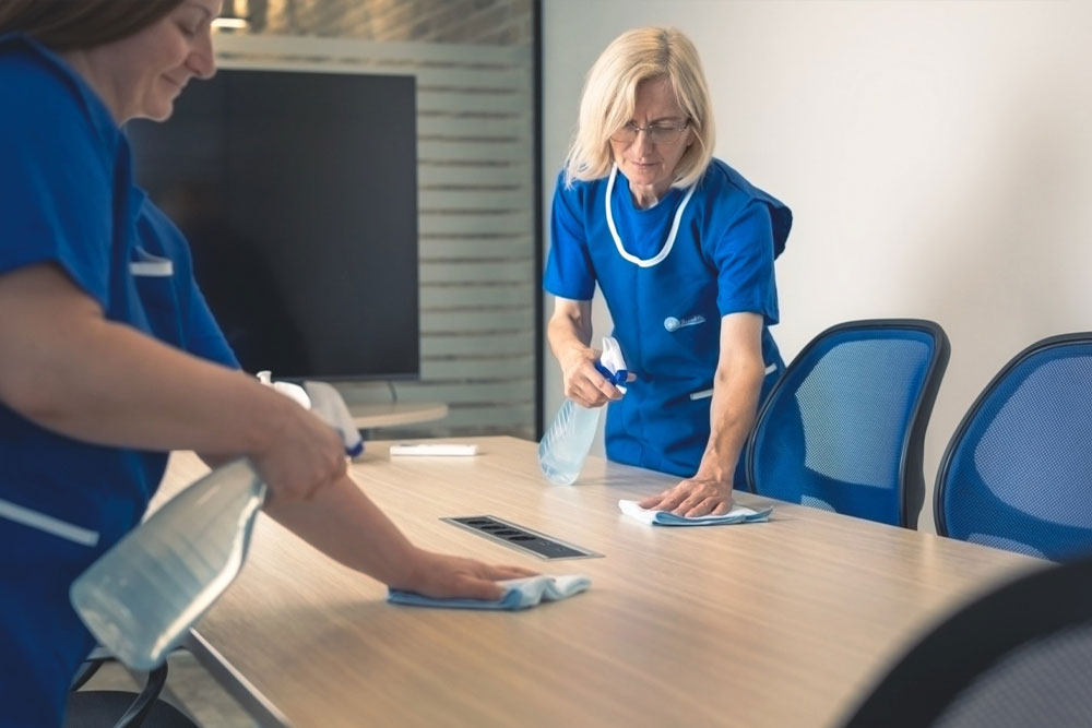 Cleaning and hygiene maintenance in IT companies 0 (0)